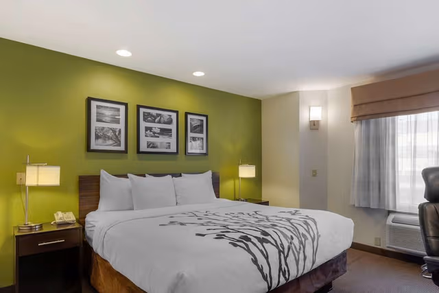 Room, 1 King Bed, Accessible, Non Smoking
