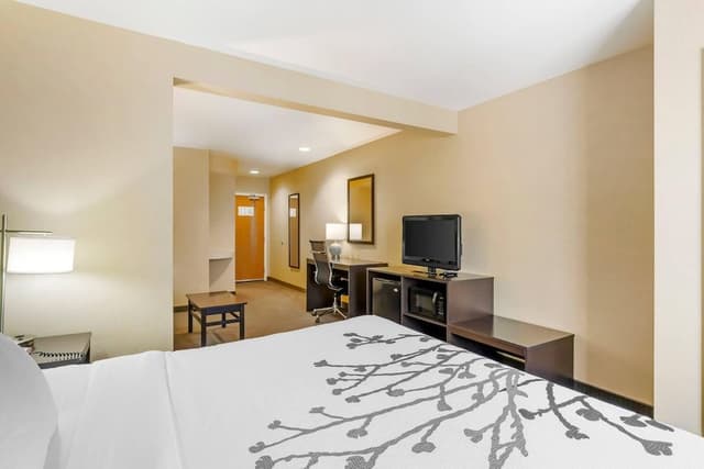 Standard Room, 1 King Bed