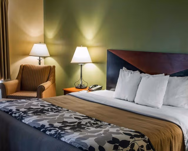 Standard Room, 1 King Bed