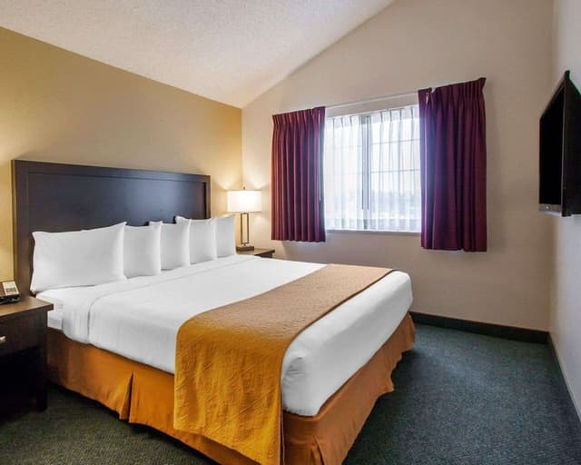 Standard Room, 1 King Bed, Non Smoking