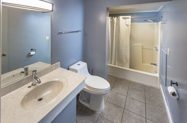 Premium Room, 1 King Bed with Sofa bed, Kitchen