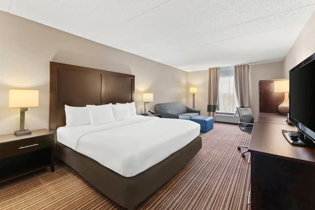Standard Room, 1 King Bed with Sofa bed, Non Smoking