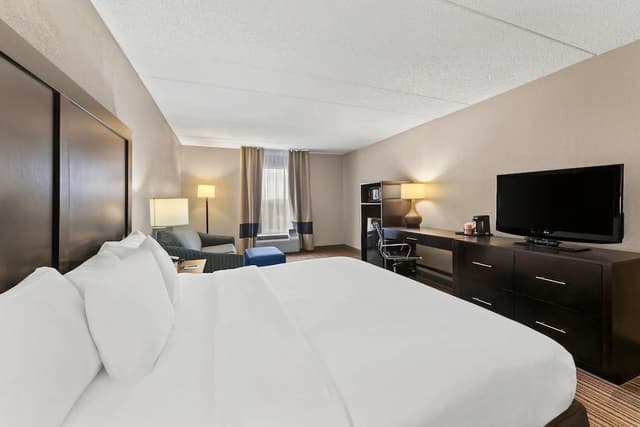 Standard Room, 1 King Bed with Sofa bed, Non Smoking