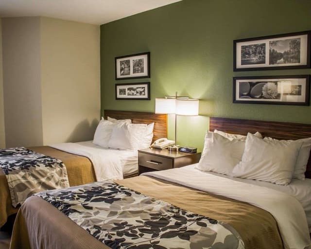 Standard Double Room, 2 Double Beds, Non Smoking