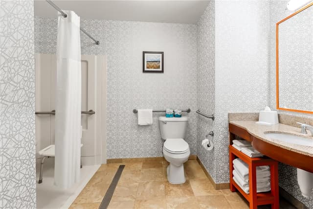 1 KING MOBILITY ACCESS ROLL IN SHOWER NOSMOK