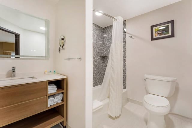 Suite, 1 King Bed with Sofa bed, Non Smoking