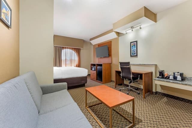 Suite, 1 King Bed with Sofa bed, Non Smoking