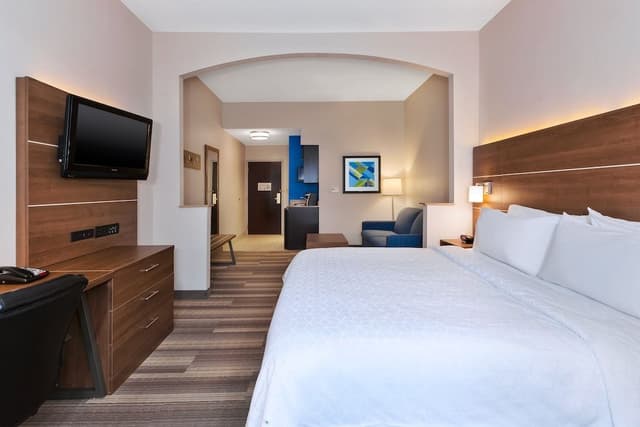 Suite, 1 King Bed with Sofa bed
