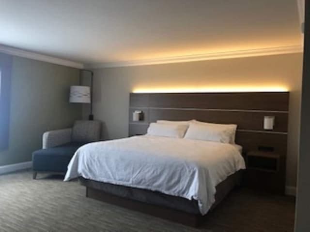 Suite, 1 King Bed