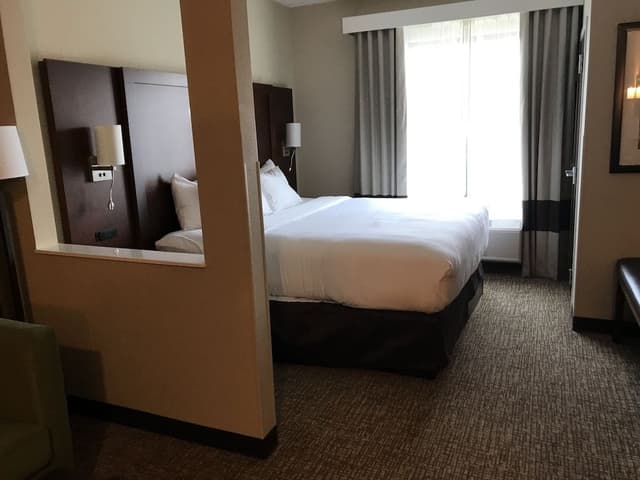 Suite, 1 King Bed with Sofa bed, Accessible, Non Smoking
