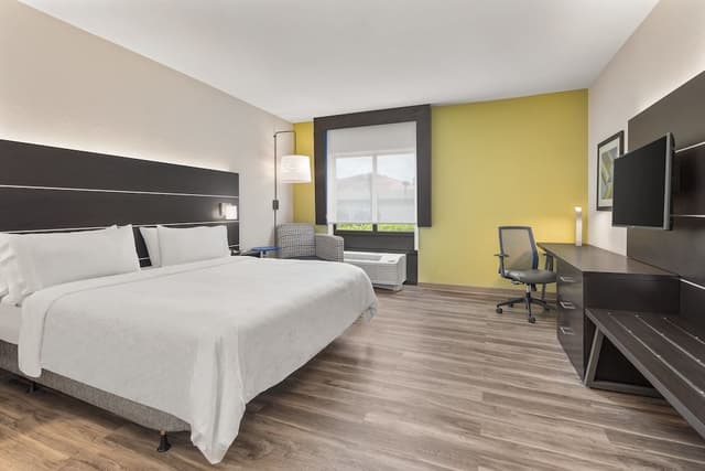 Standard Room, 1 King Bed, Accessible (Roll-In Shower)