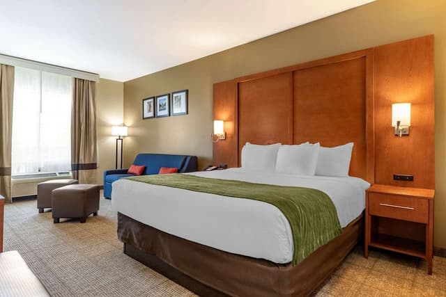 Standard Room, 1 King Bed, Non Smoking