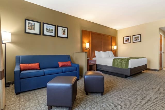Standard Room, 1 King Bed