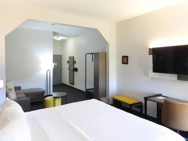Suite, 1 King Bed with Sofa bed, Accessible, Non Smoking