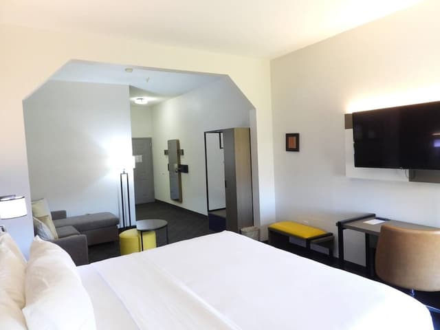 Suite, 1 King Bed with Sofa bed, Non Smoking