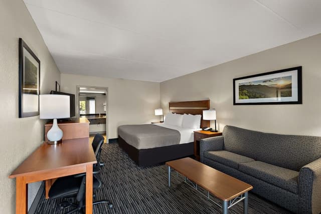 Standard Room, 1 King Bed, Non Smoking