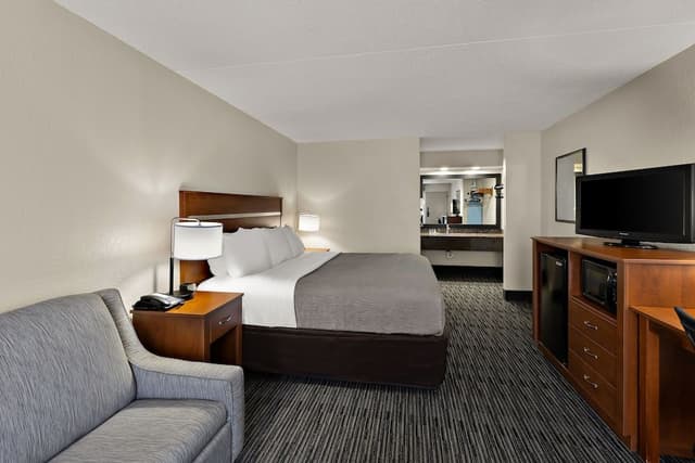 Standard Room, 1 King Bed, Non Smoking