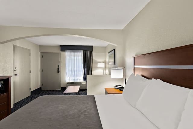 Standard Room, 1 King Bed, Non Smoking