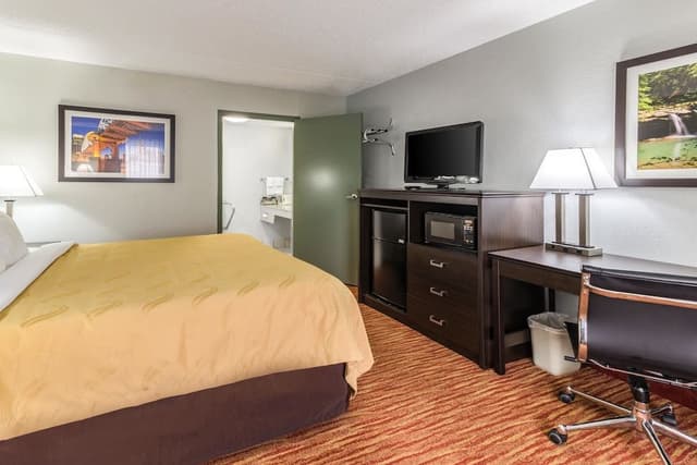 Standard Room, 1 King Bed, Non Smoking