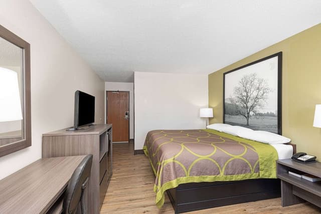 Room, 1 King Bed, Smoking