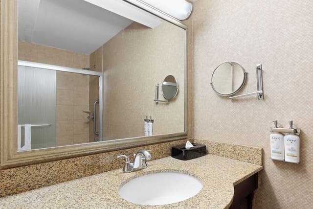 Suite, 1 Bedroom