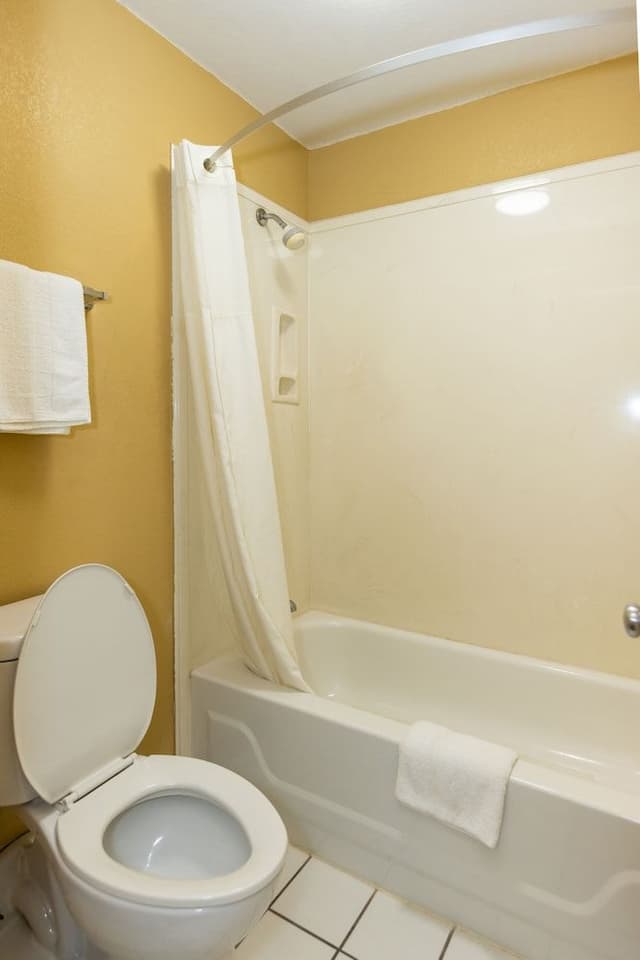 Standard Room, 1 King Bed, Accessible