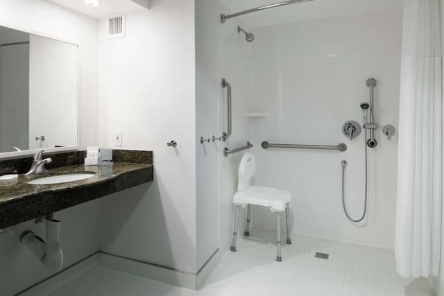 Suite, 1 King Bed with Sofa bed, Accessible (Roll-In Shower)