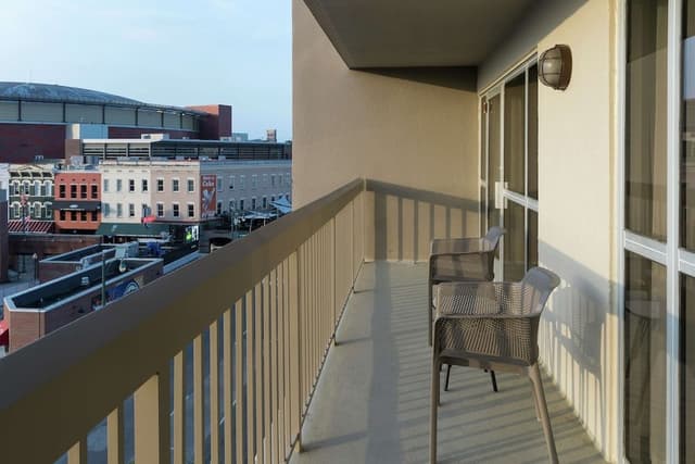 Suite, 1 King Bed with Sofa bed, Kitchen, Park View (Balcony)