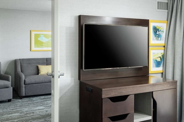 Suite, 1 King Bed, Kitchen (SofaBed & Balcony)