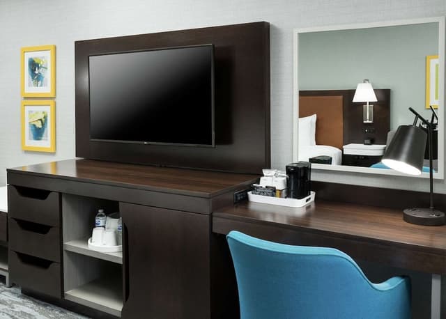 Suite, 1 King Bed with Sofa bed, Accessible (Roll-In Shower)