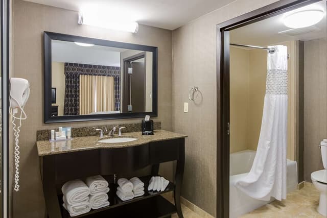 1 KING STUDIO SUITE W/SOFABED NONSMOKING