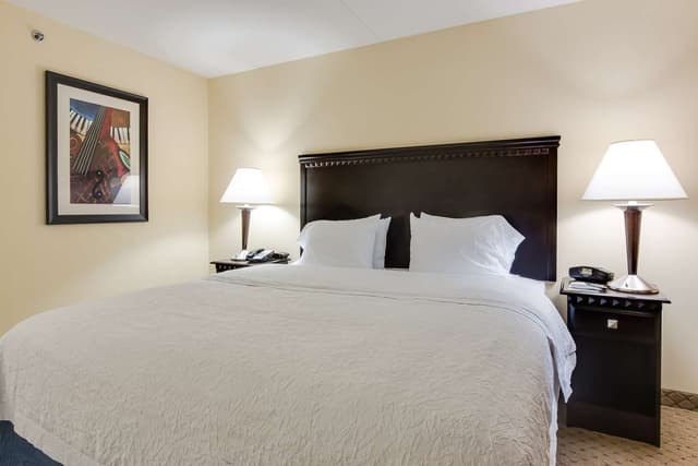 1 KING STUDIO SUITE W/SOFABED NONSMOKING