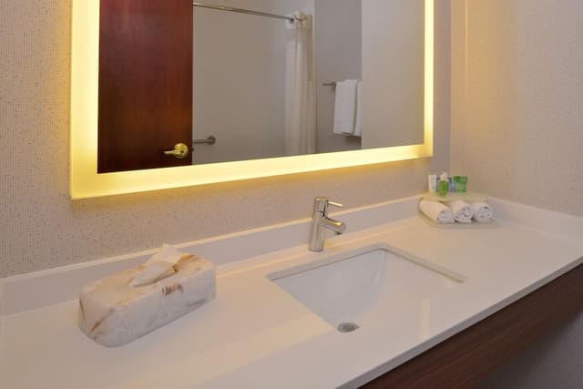 Suite, 1 King Bed, Accessible (Mobility Accessible)