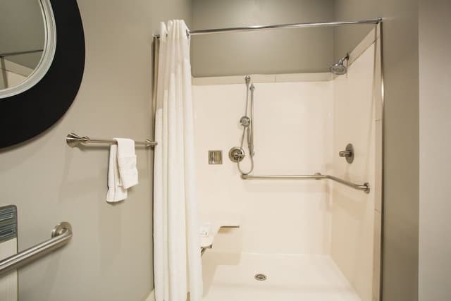 Suite, 1 King Bed with Sofa bed