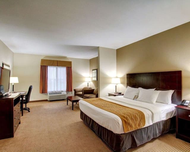 Suite, 1 King Bed with Sofa bed, Non Smoking