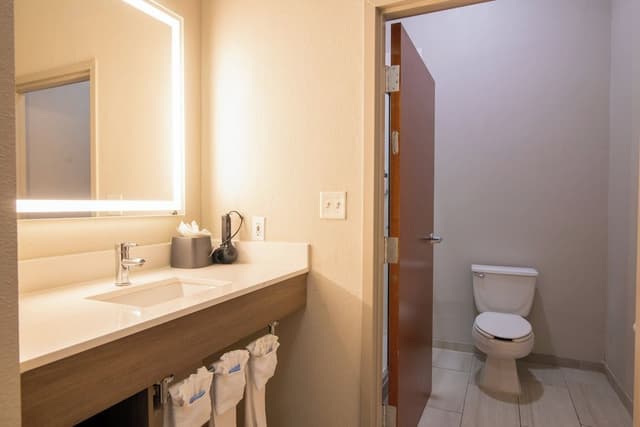 Suite, 1 King Bed with Sofa bed (Extra Floor Space)