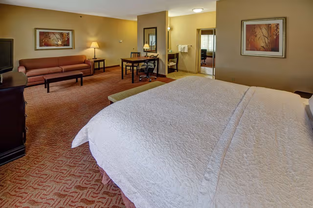 1 KING BED STUDIO SUITE W/SOFABED NONSMOKING