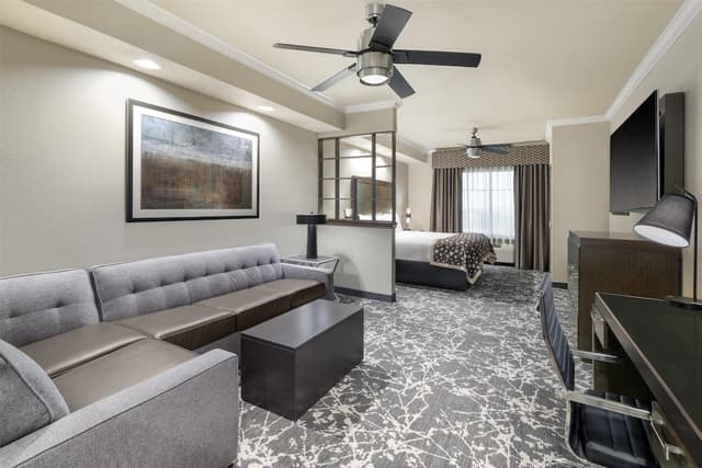 Standard Room, 1 King Bed, Accessible, Refrigerator & Microwave (Walk-in Shower;with Sofabed)