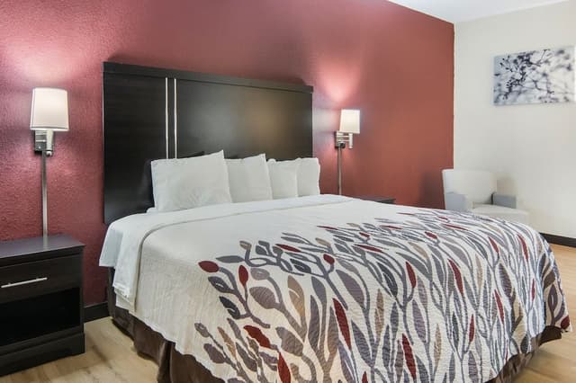 Deluxe Room, 1 King Bed, Smoking