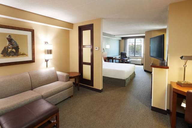 Room, 1 King Bed, Accessible (Shower)