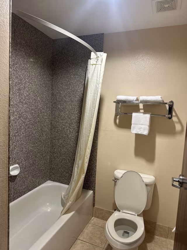 Executive Single Room, 1 King Bed, Non Smoking