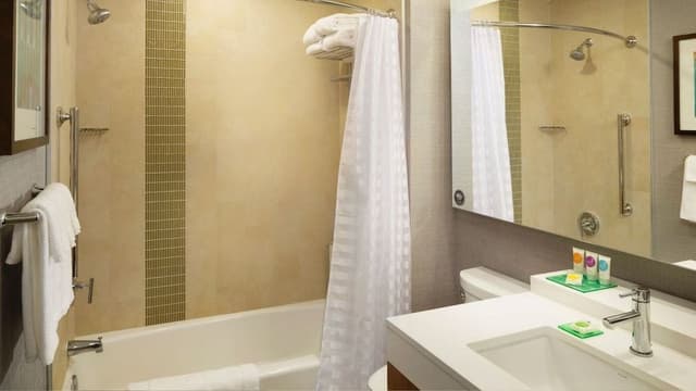 Room, 1 King Bed, Accessible, Bathtub
