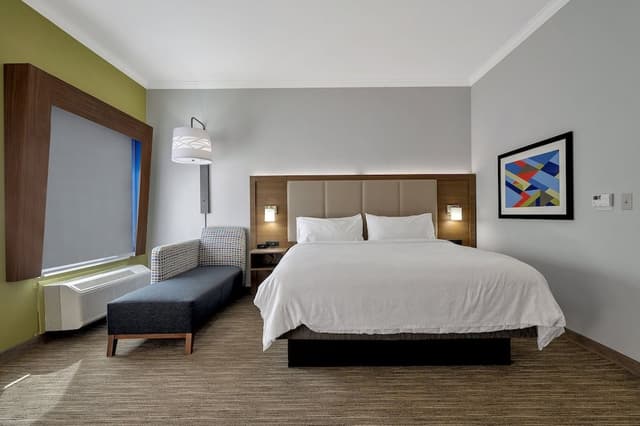 Suite, 1 King Bed with Sofa bed