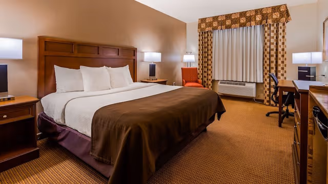 Standard Room, 1 King Bed, Non Smoking, Refrigerator & Microwave (Pet Friendly)