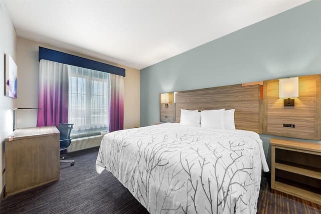 Suite, 1 King Bed, Non Smoking, Refrigerator & Microwave