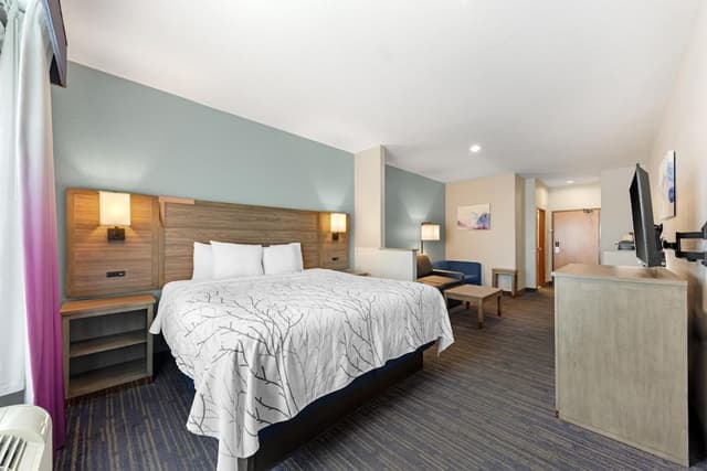 Suite, 1 King Bed, Non Smoking, Refrigerator & Microwave