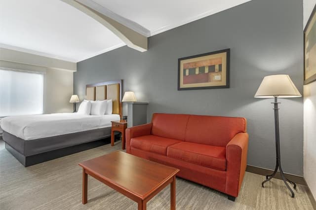 Suite, 1 King Bed, Non Smoking, Refrigerator & Microwave (with Single Sofabed)