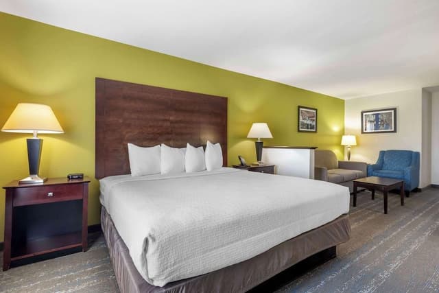 Standard Room, 1 King Bed, Accessible, Bathtub (with Sofabed)