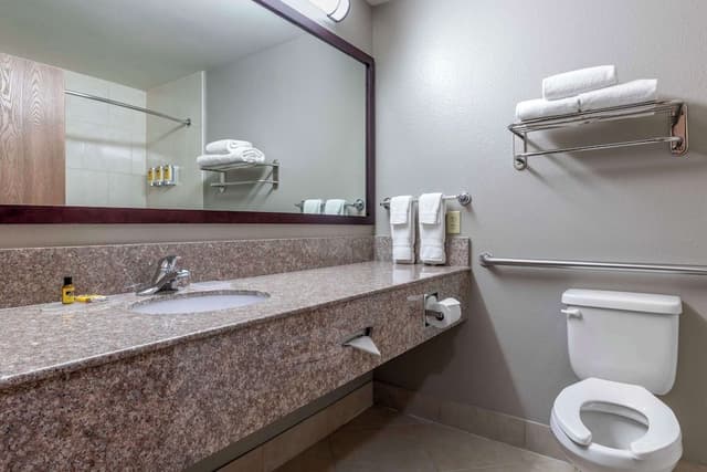 Suite, 1 King Bed, Accessible, Bathtub (with Sofabed)