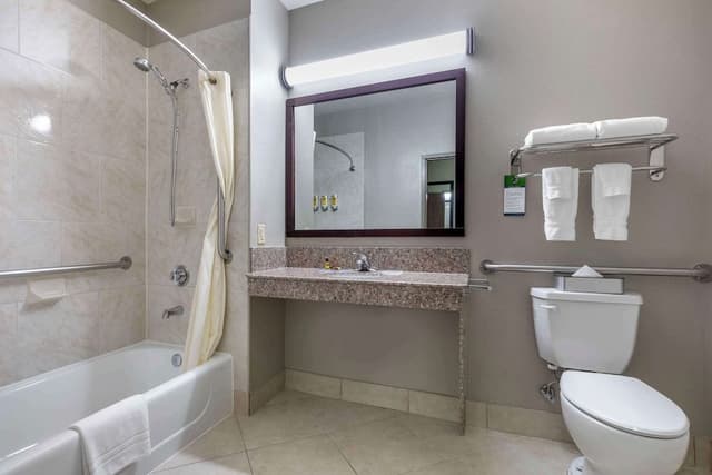 Standard Room, 1 King Bed, Accessible, Jetted Tub